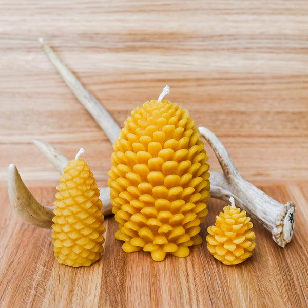 Pine Cone Beeswax Candles Candles and Home Fragrance - San Marcos Farms, The Santa Barbara Company
